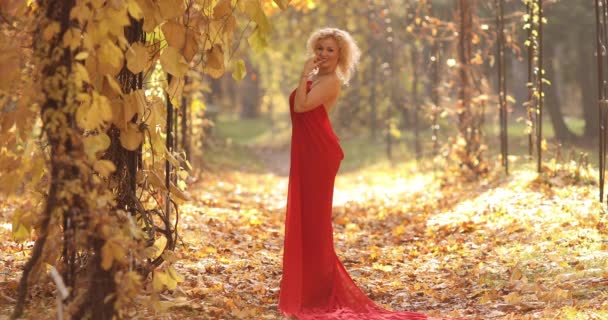 Belle et sexy femme blonde en robe rouge longue marche dans le parc d'automne
. - Séquence, vidéo