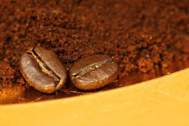Dois grãos de café e café moído
 - Foto, Imagem