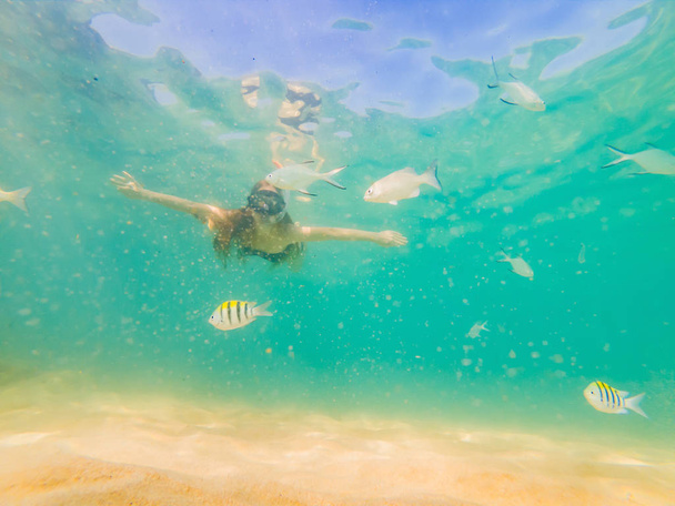 Ευτυχισμένη γυναίκα υποβρύχια κολύμβηση στον τροπικό ωκεανό - Φωτογραφία, εικόνα