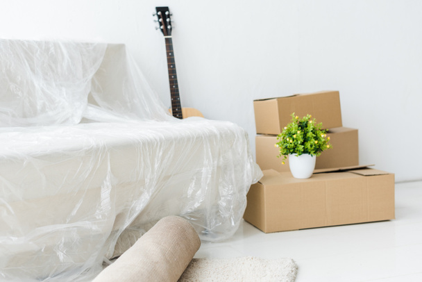 Cardboard boxes, acoustic guitar, sofa in wrapper and green plant at home - Photo, Image