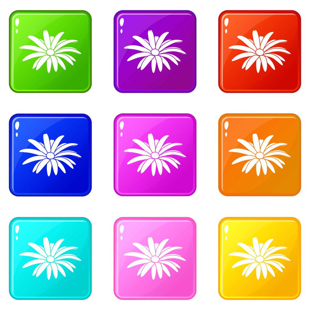 Conjunto de iconos de flores de manzanilla 9 colección de colores
 - Vector, imagen