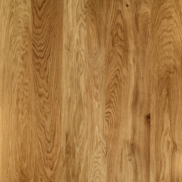 Un fragmento de un panel de madera de frondosas. Roble
. - Foto, imagen