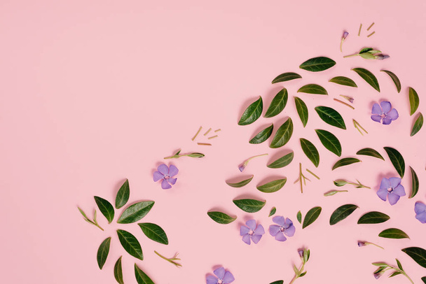 Violet flowers and green little leaves represented over pink background separately. Many little leaves for decorating any post card or celebration card. Flat lay, top view, copy space - Fotoğraf, Görsel