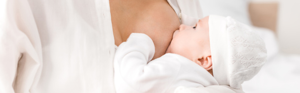Panoramische foto van moeder borstvoeding baby thuis - Foto, afbeelding