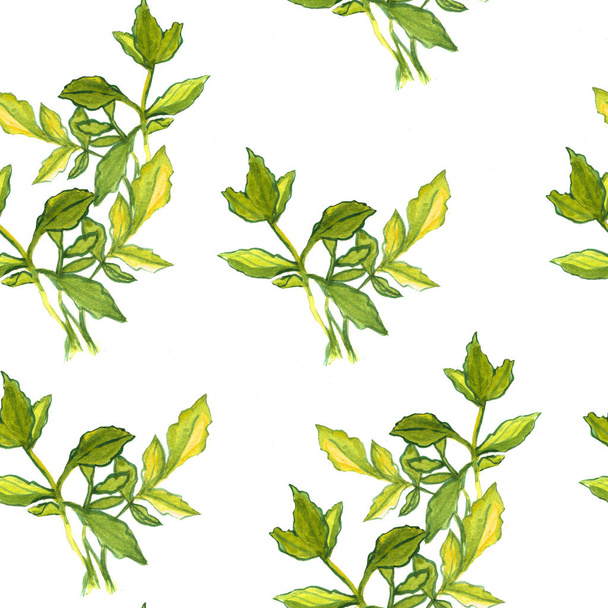 Безшовний акварельний візерунок з зеленим листям. Ботанічна текстура. Квіткові елементи
. - Фото, зображення