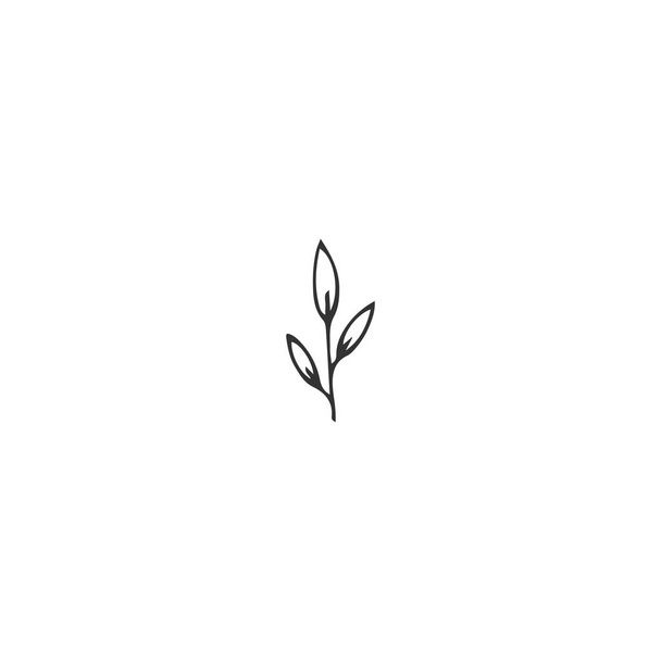 Hand drawn isolated illustration. Vector logo element for garden or nature related business, a branch with leaves. - Διάνυσμα, εικόνα