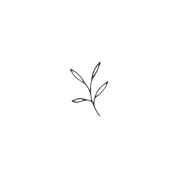 Vector logo element, a green branch with leaves. Hand drawn garden isolated illustration. - Vektör, Görsel