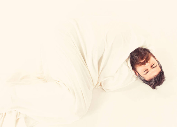 Hipster with beard fall asleep, wrapped in blanket like cocoon. - Фото, зображення