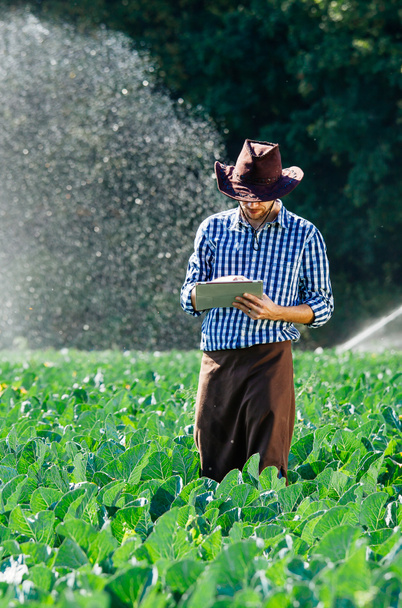 agriculteur homme agronome soleil travailleur vérifier numérique tablette plantation technologie chapeau arroseur système eau
 - Photo, image