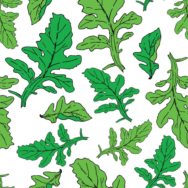 Arugula or rocket salad leaves isolated on white seamless pattern. Vector illustration, hand drawn in ink. Rocket salad or eruca - Vector, Image