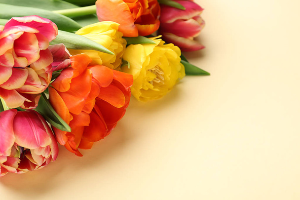 Beautiful tulip flowers on color background - Foto, afbeelding