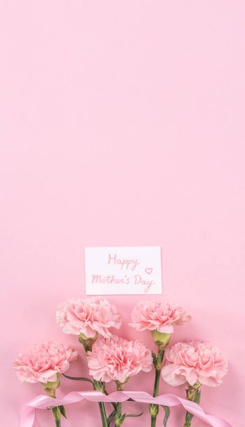 Beautiful fresh blooming baby pink color tender carnations isolated on bright pink background, mothers day thanks design concept,top view,flat lay,copy space,close up,mock up - Zdjęcie, obraz