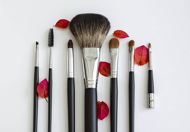 Различные косметические кисти для макияжа
 - Фото, изображение