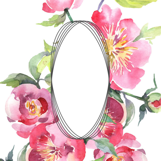 rosa Pfingstrose Blumenstrauß botanische Blumen. Aquarell Hintergrundillustration Set. Rahmen Rand Ornament Quadrat. - Foto, Bild