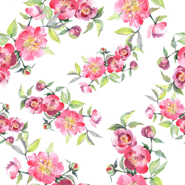 Pink bazsarózsa csokor virágos botanikus virágok. Akvarell háttér illusztráció meg. Folytonos háttérmintázat. - Fotó, kép