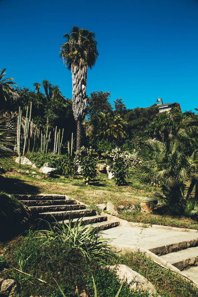 Green botanical garden Jardines de Mossn Costa i Llobera in Barcelona, Spain - Photo, Image