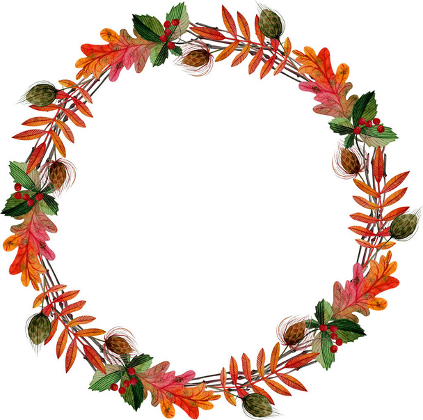round frame wreath autumn green orange red leaves branch rowan, chestnut oak samara isolated  - Foto, Imagen
