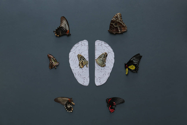 Cerveaux humains avec des papillons sur fond gris
 - Photo, image