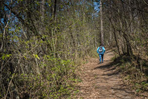 Dívka kráčející v lese na hoře, oblečená v modrých šatech - Fotografie, Obrázek