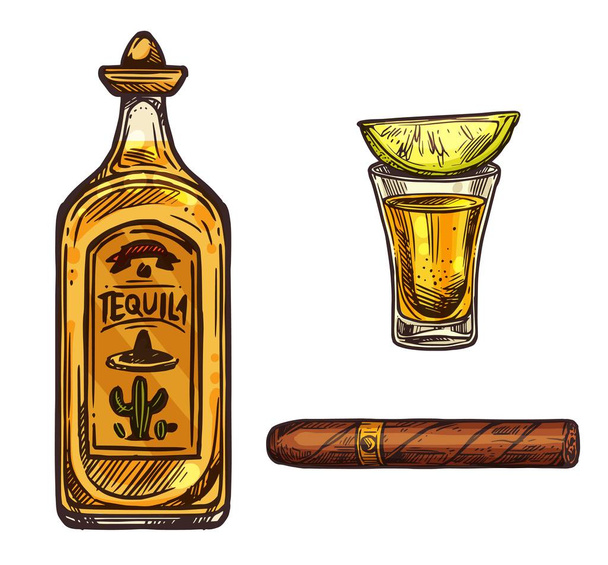 Мексиканська Текіла напій і сигарний ескіз - Вектор, зображення