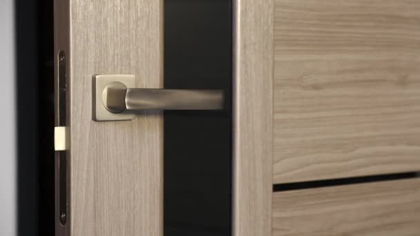 Interior doors with door handle - Footage, Video