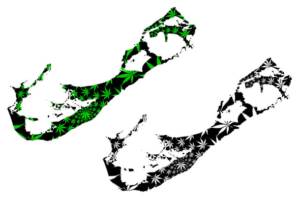 Bermudas - mapa está diseñado hoja de cannabis
 - Vector, Imagen