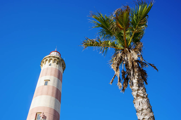 Kis látószögű fotót a Lighthouse a Praia Da Barra mellett egy pálmafa. A nap folyamán tiszta kék ég. - Fotó, kép
