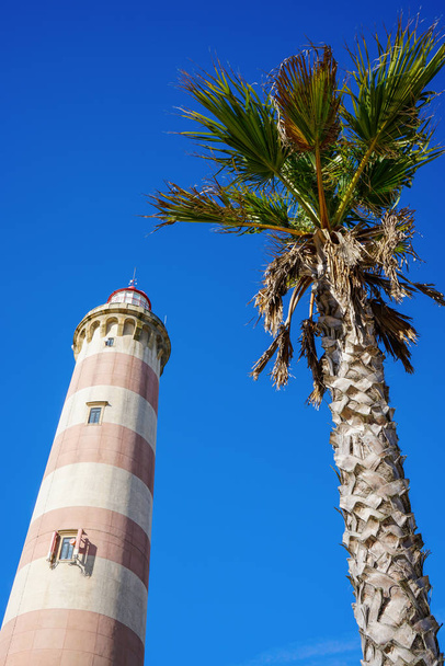 Foto de baixo ângulo do Farol da Praia da Barra ao lado de uma palmeira, durante o dia com um céu azul claro
. - Foto, Imagem