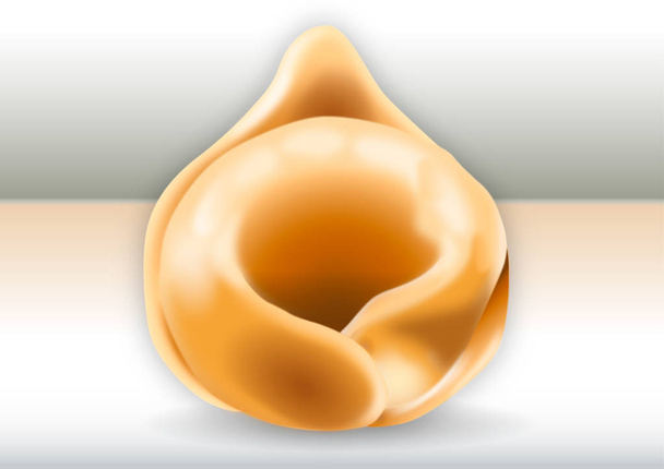 Tortellino uit Emilia Romagna, Italiaanse traditionele pasta Food, Italië, vector illustratie - Vector, afbeelding