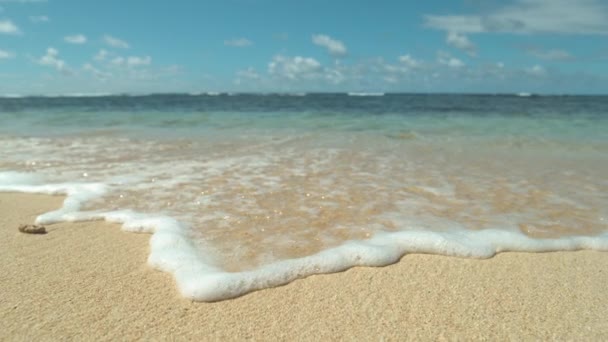 CERRAR: Impresionante toma de una enorme ola de tubo que se estrella cerca de una remota isla exótica en Chile. Ola de barril de color esmeralda masiva salpicando y rociando gotas de agua de mar vidriosa en el cielo azul claro
. - Metraje, vídeo