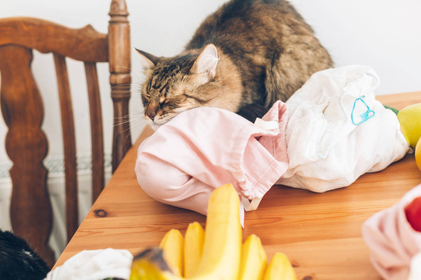 Lindo gato jugando en comestibles frescos en bolsas eco reutilizables en madera
 - Foto, Imagen