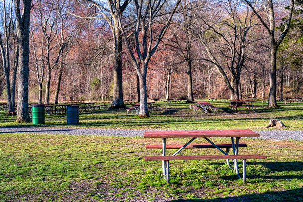 ein roter Picknicktisch - Foto, Bild