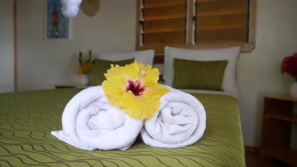Close-up: rustige hotelkamer met minimalistische inrichting om te ontspannen op tropische vakantie. Romantische schuilplaats voor koppels op vakantie. Deze nette Suite met airconditioning verwelkomt nieuwe gasten na een lange reis. - Video