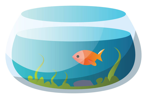 Кругла рибальська чаша з однією золотою рибою Векторні ілюстрації на білому тлі
 - Вектор, зображення