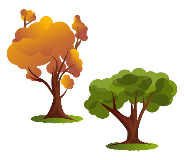 Two autumn tree vector illustration on white background - Vetor, Imagem