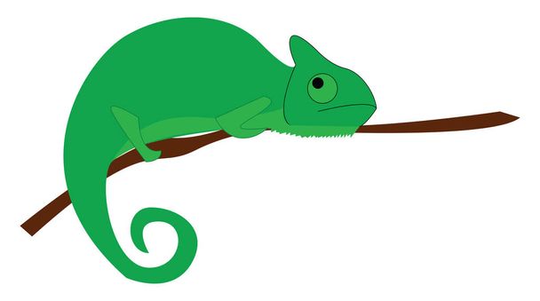 Duży zielony jaszczurka kolor z możliwością zmiany koloru o nazwie Cha - Wektor, obraz