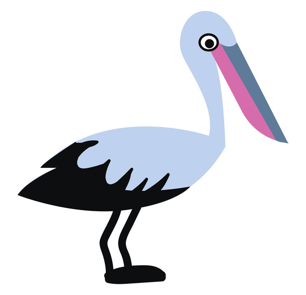 Pelican bird with colorful beak vector or color illustration - ベクター画像