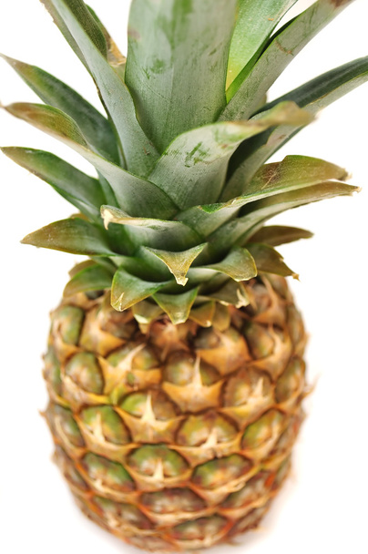 Pineapple - 写真・画像