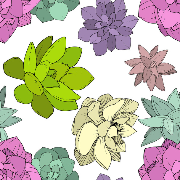 Vector Succulents floral botanical flower. Engraved ink art. Seamless background pattern. - Vetor, Imagem