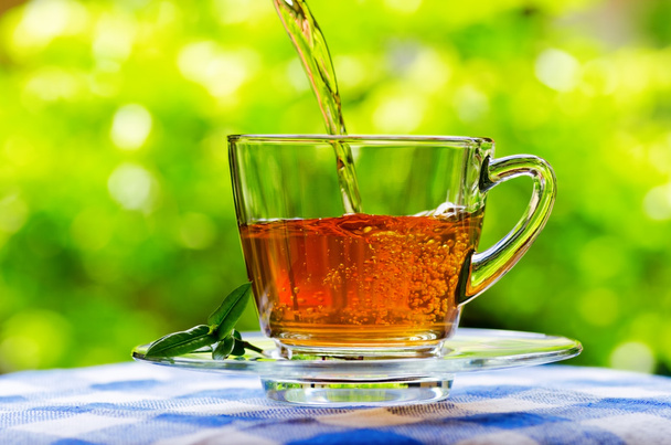 Cup of tea on nature background - Foto, Imagen