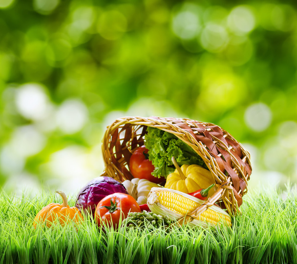 Fresh vegetables in the basket on green grass. - Fotografie, Obrázek