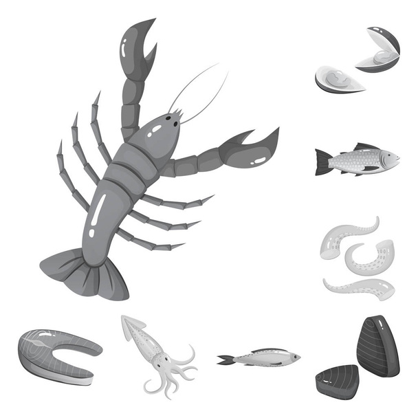 Vector design of seafood and healthy sign. Set of seafood and ocean vector icon for stock. - Vettoriali, immagini