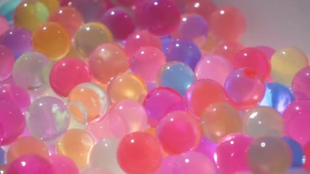 Kolorowe kule orbeez w przezroczystej płycie. Kolorowe tło - Materiał filmowy, wideo