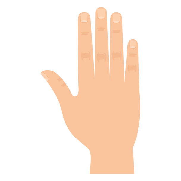 hand human isolated icon - Vector, Image