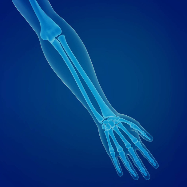 3D render of scan of a human hand  - Photo, image