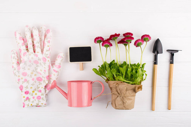 Spring Garden Works Concept. Gardening tools, flowers in pots and watering can on white table. top view, flat lay - Photo, Image