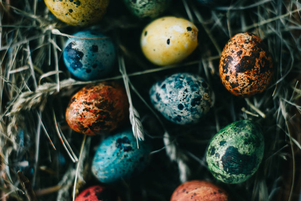 colored Quail Easter eggs in basket - Photo, image