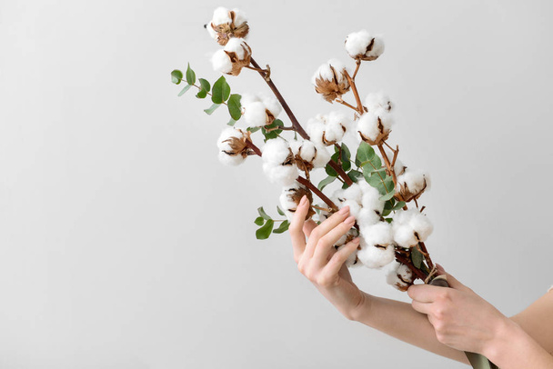 Mani femminili che tengono composizione floreale con fiori di cotone su sfondo chiaro
 - Foto, immagini