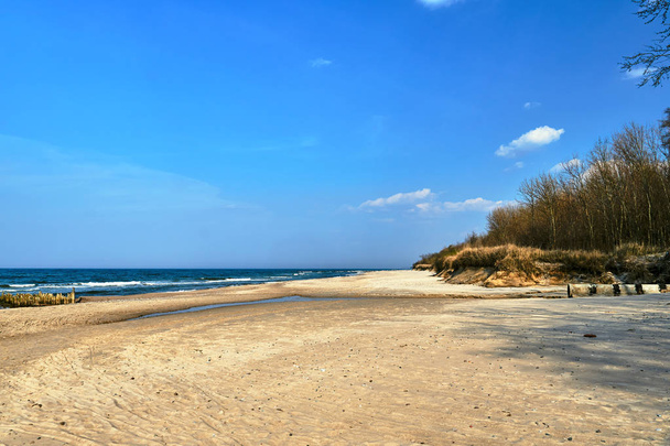 ポーランドの砂浜と木製の防波堤を持つバルト海の険しい海岸 - 写真・画像