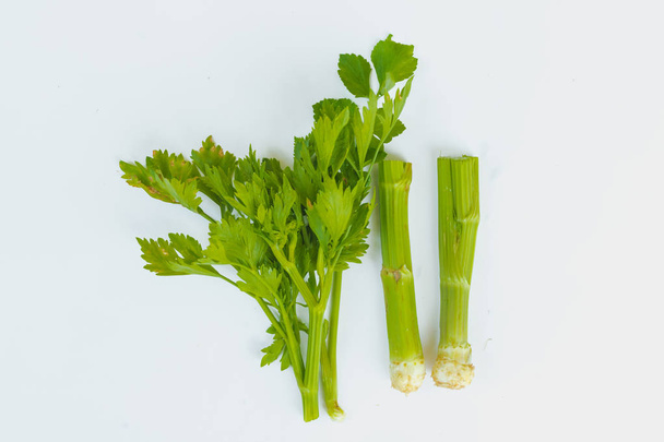 vegetale di sedano verde fresco di testa di sedano su bianco
 - Foto, immagini